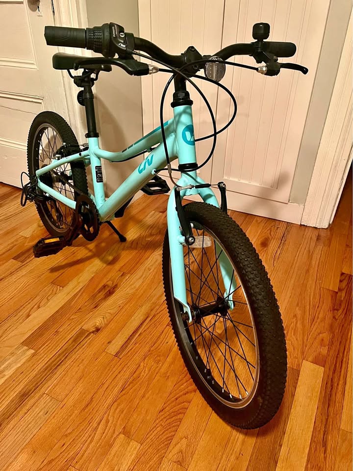 Giant Enchant 20 wheels kids mountain bike